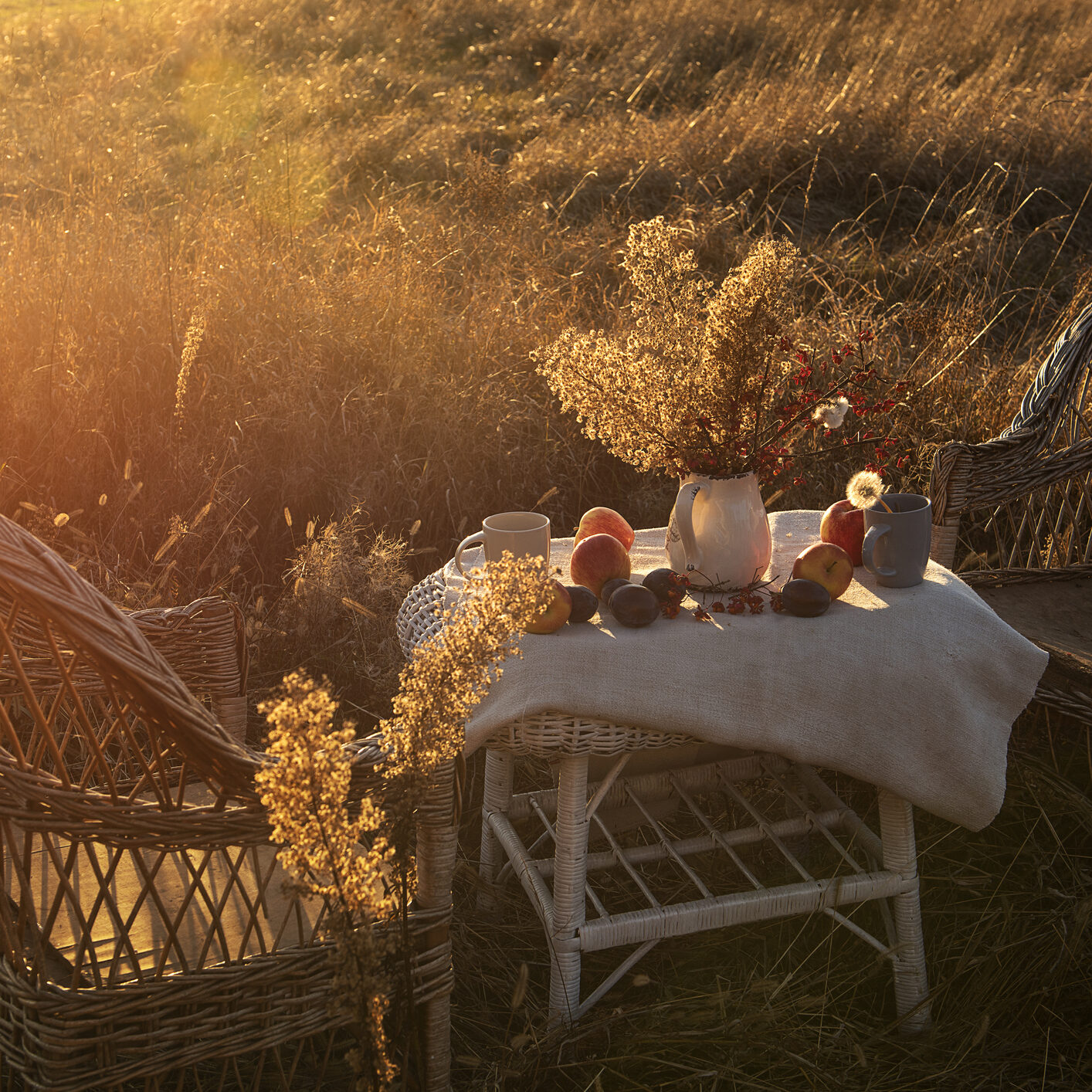 table with different fruits and autumn dried flowers and two wicker chairs in a field in the garden in the soft sunny sunset light. warm sunlight, calm state